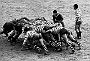 Il Petrarca Rugby è un club italiano di rugby a 15 di Padova, sezione rugbistica della Fondazione Unione Sportiva Petrarca (Luigi Sacchetto)